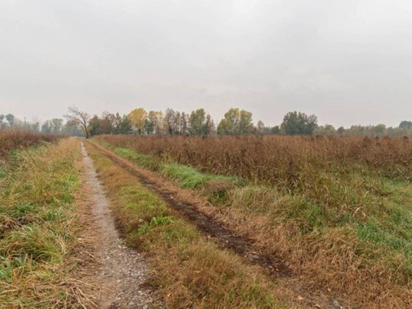 terreno agricolo in vendita a Poncarale