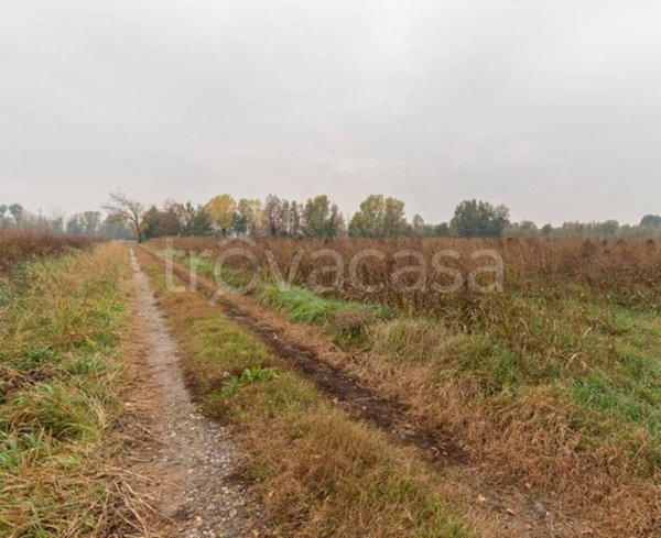 terreno agricolo in vendita a Poncarale