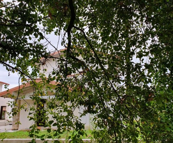 casa indipendente in vendita a Poncarale