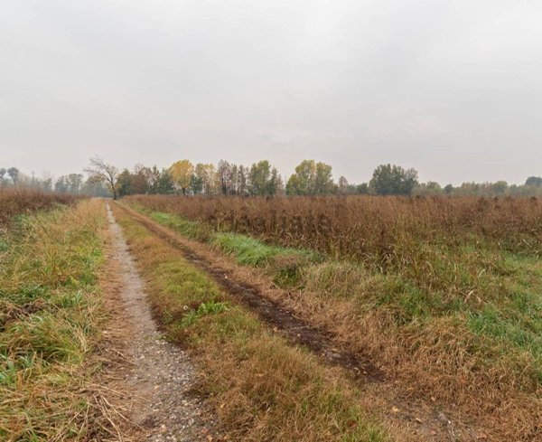 terreno agricolo in vendita a Poncarale