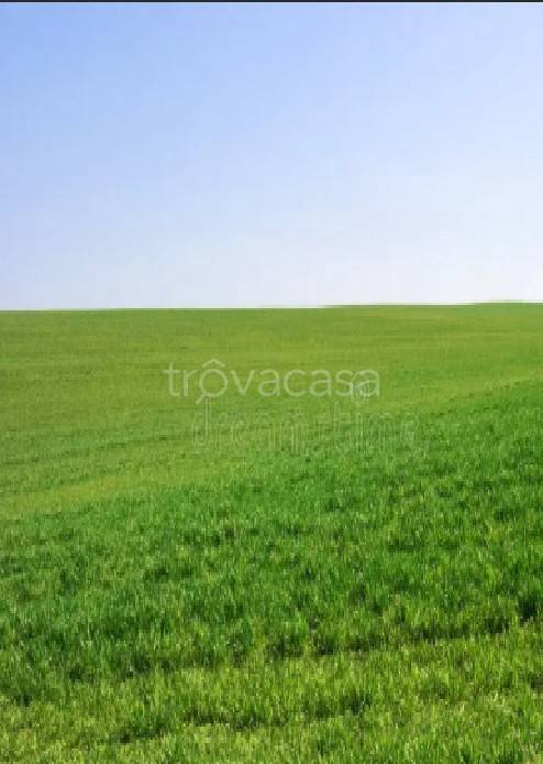terreno agricolo in vendita a Poncarale