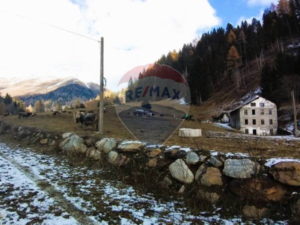 appartamento in vendita a Ponte di Legno