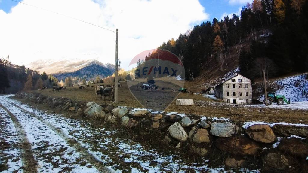 appartamento in vendita a Ponte di Legno