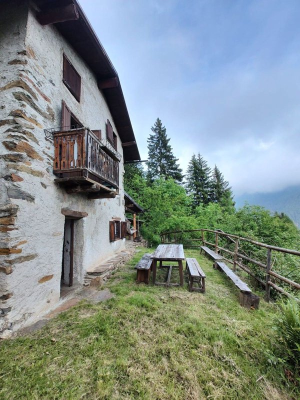 quadrivano in vendita a Ponte di Legno