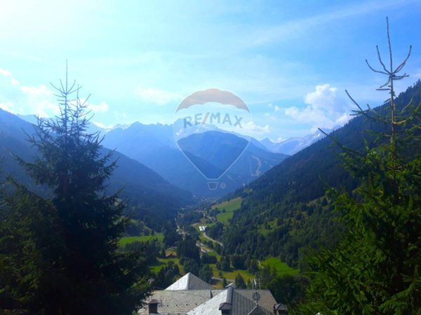 immagine annuncio 0 di 14