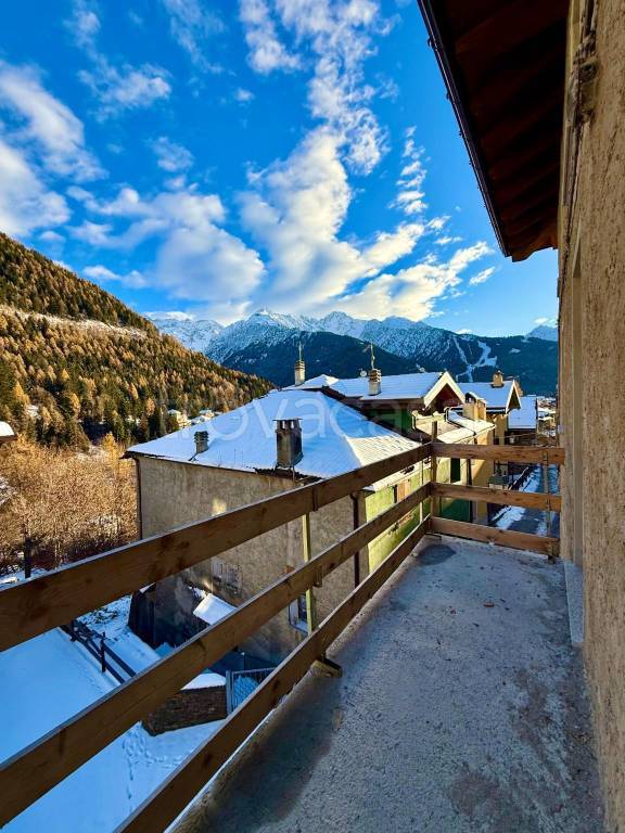 immagine annuncio 0 di 15