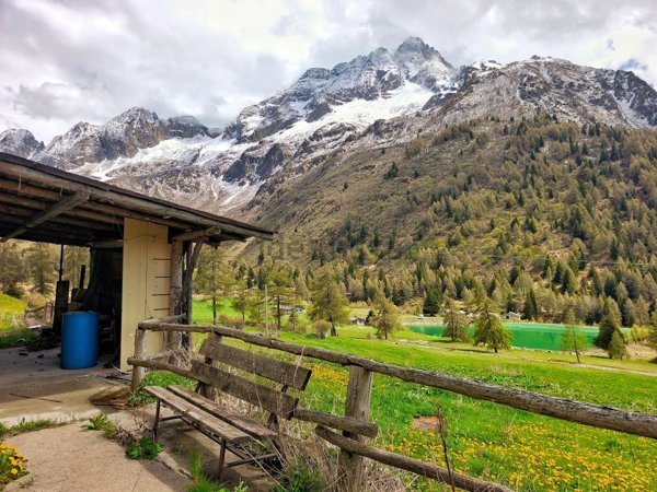 appartamento in vendita a Ponte di Legno in zona Passo del Tonale