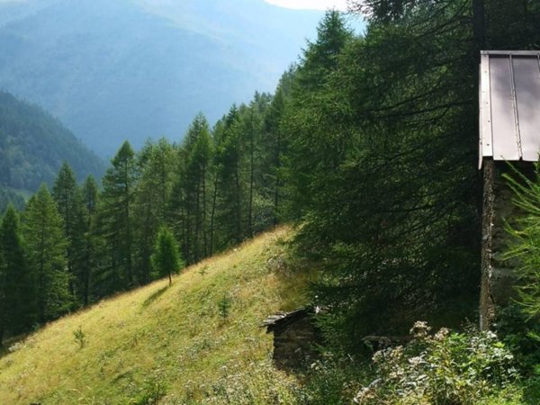 casale in vendita a Ponte di Legno in zona Precasaglio