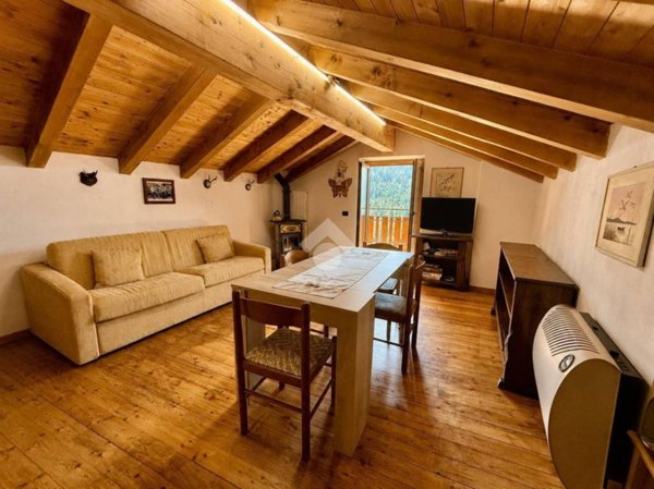 appartamento in vendita a Ponte di Legno in zona Pezzo