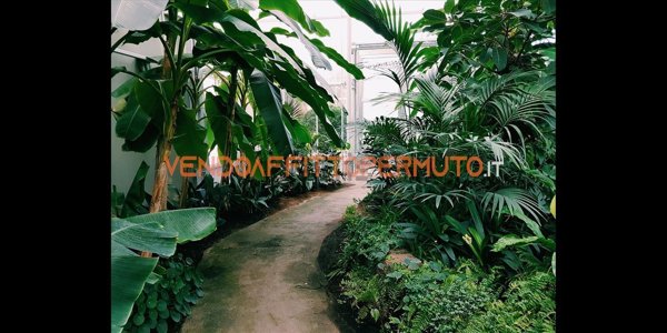 casa indipendente in vendita a Pontoglio