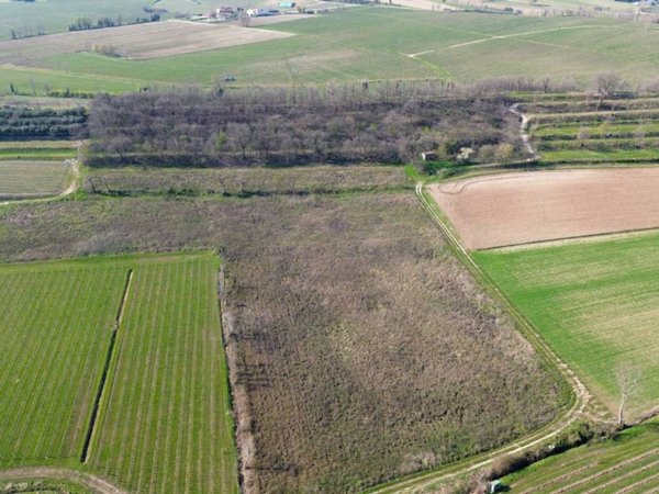 terreno agricolo in vendita a Pozzolengo