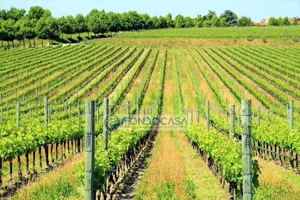casa indipendente in vendita a Pozzolengo