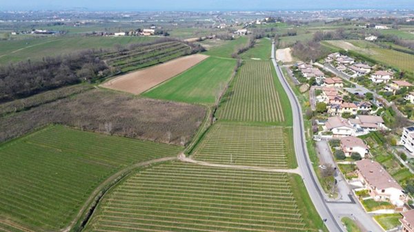 terreno agricolo in vendita a Pozzolengo