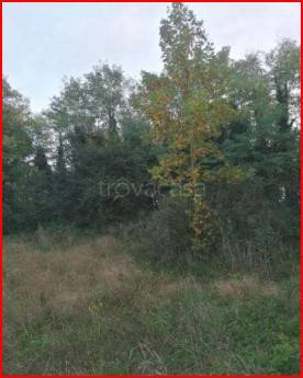 terreno agricolo in vendita a Pozzolengo