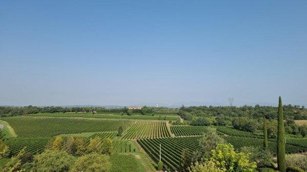 casa indipendente in vendita a Pozzolengo