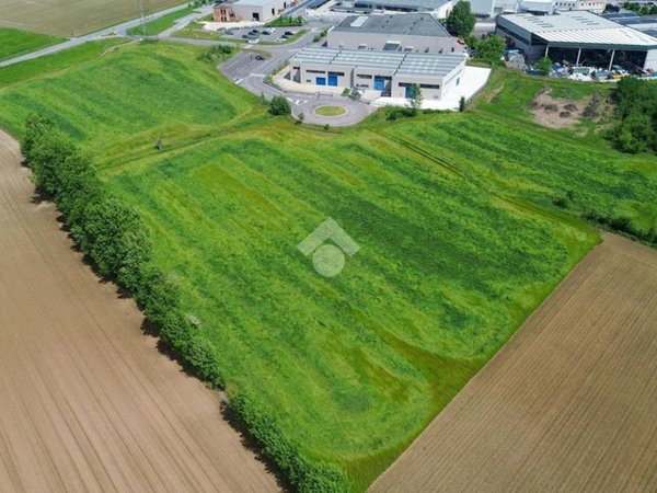 terreno agricolo in vendita a Pozzolengo