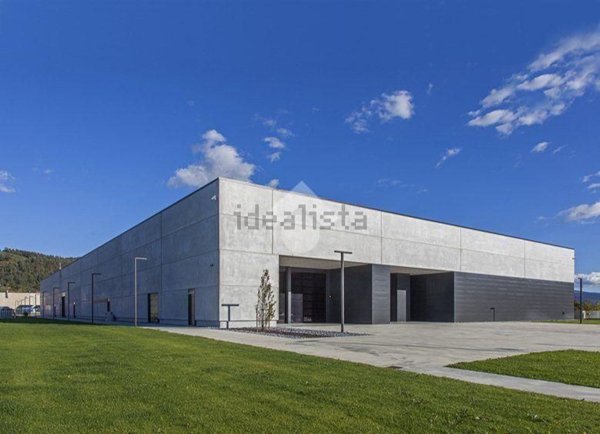 capannone in vendita a Pozzolengo