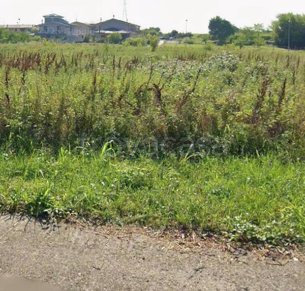 terreno agricolo in vendita a Pozzolengo