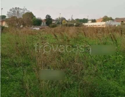 terreno agricolo in vendita a Pozzolengo