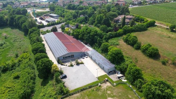 negozio in vendita a Pozzolengo