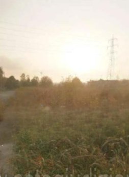 terreno edificabile in vendita a Pozzolengo