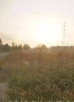 terreno agricolo in vendita a Pozzolengo