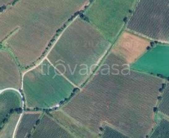 appartamento in vendita a Pozzolengo