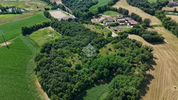 terreno agricolo in vendita a Pozzolengo
