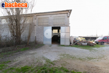 casa indipendente in vendita a Pralboino