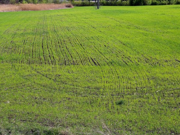mansarda in vendita a Pralboino