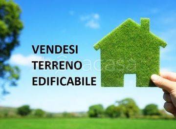 immagine annuncio 0 di 3