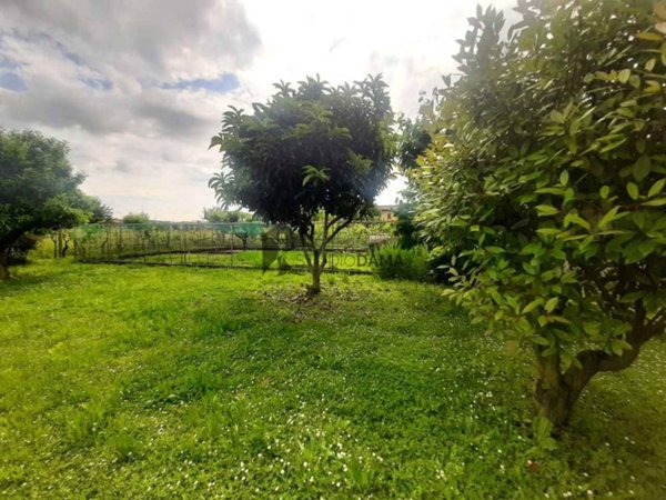 casa indipendente in vendita a Prevalle