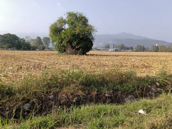 terreno agricolo in vendita a Prevalle
