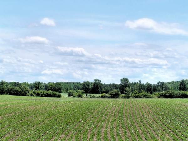 negozio in vendita a Prevalle