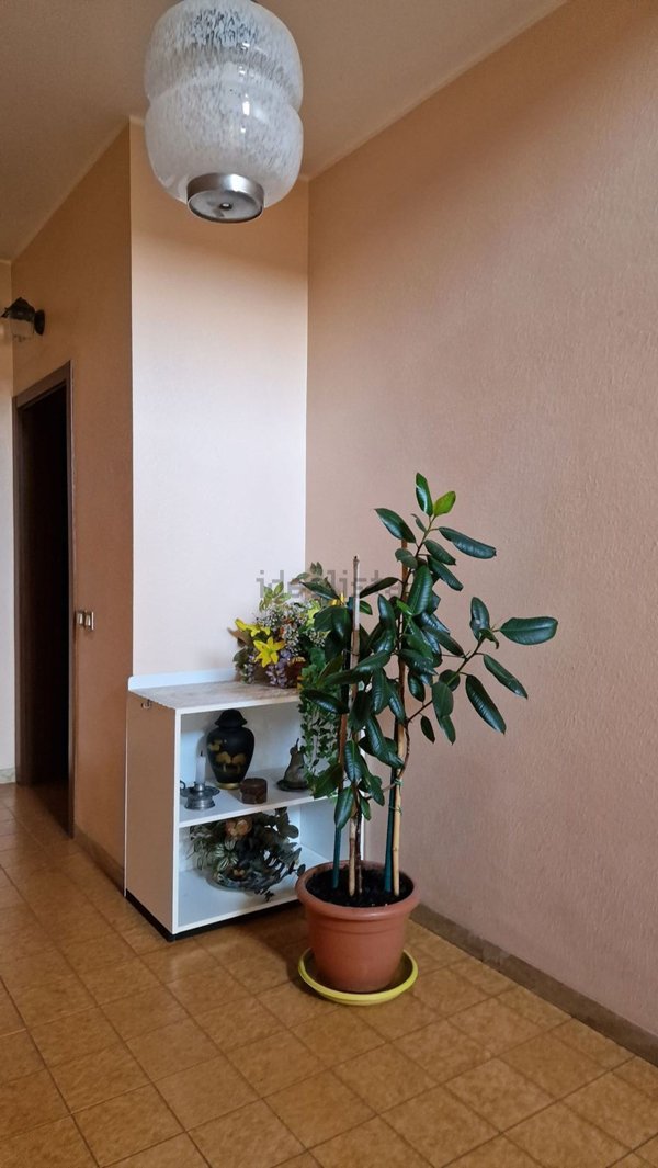 appartamento in vendita a Prevalle