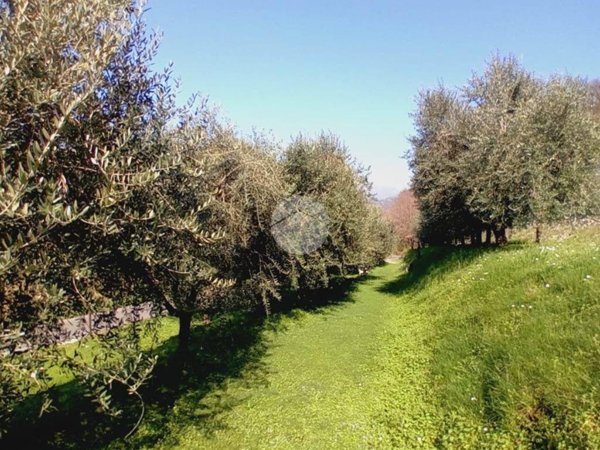 terreno agricolo in vendita a Provaglio d'Iseo
