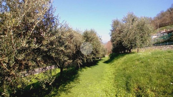 terreno agricolo in vendita a Provaglio d'Iseo