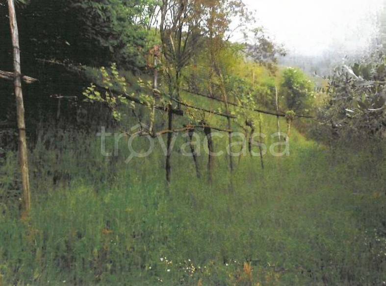 terreno edificabile in vendita a Provaglio d'Iseo