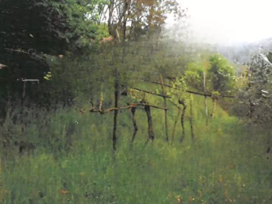 terreno agricolo in vendita a Provaglio d'Iseo