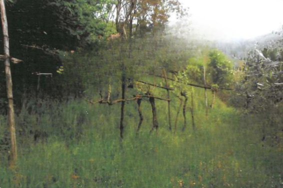 terreno agricolo in vendita a Provaglio d'Iseo