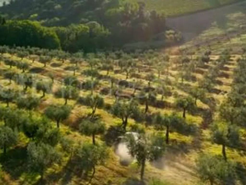 terreno agricolo in vendita a Provaglio d'Iseo