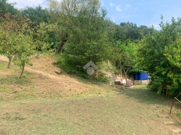 terreno agricolo in vendita a Provaglio d'Iseo