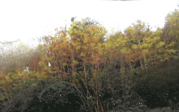 terreno agricolo in vendita a Provaglio d'Iseo