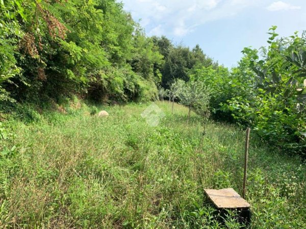 terreno agricolo in vendita a Provaglio d'Iseo