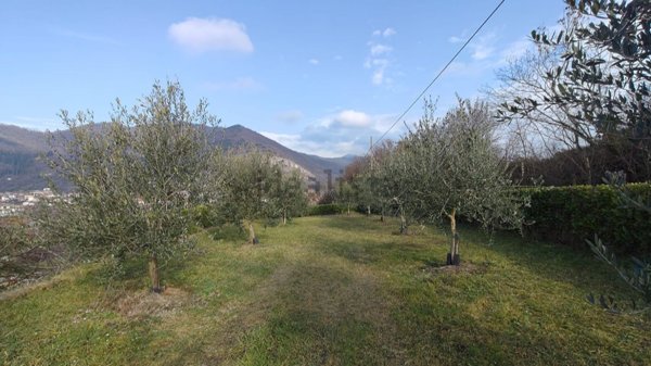 terreno agricolo in vendita a Provaglio d'Iseo