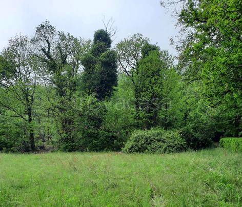 terreno agricolo in vendita a Provaglio d'Iseo