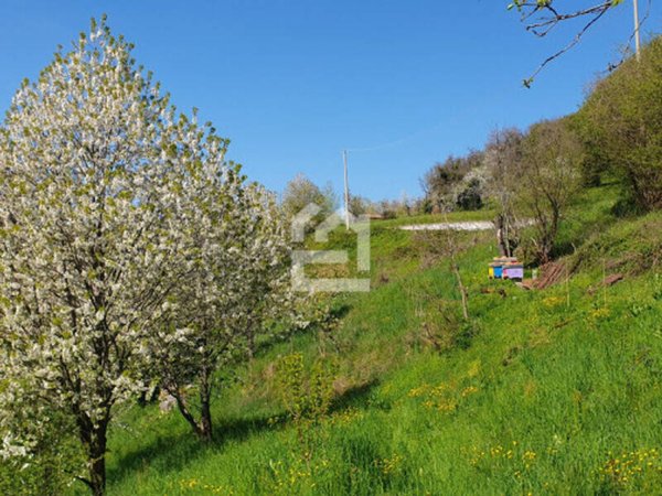 terreno agricolo in vendita a Provaglio Val Sabbia