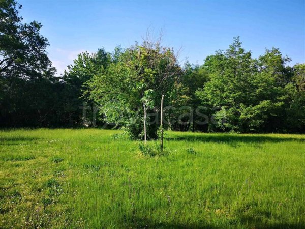 terreno agricolo in vendita a Puegnago del Garda
