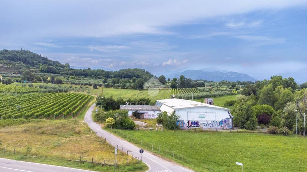terreno agricolo in vendita a Puegnago del Garda