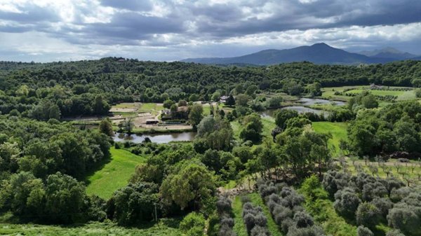 terreno agricolo in vendita a Puegnago del Garda